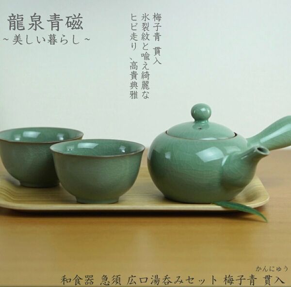 定価9500円 高級 オシャレ 急須セット 湯呑み 湯のみ 茶器