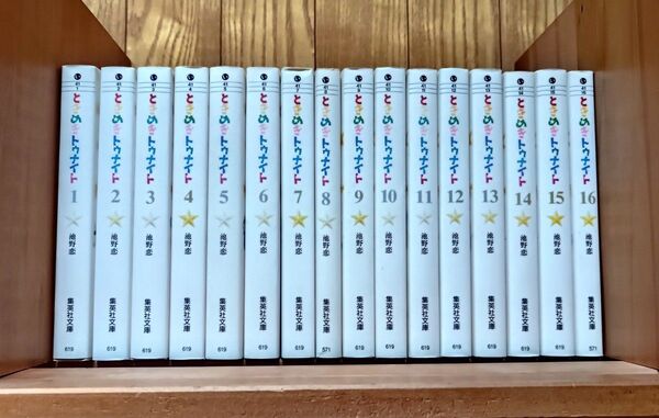 【ときめきトゥナイト1-16巻・全巻完結セット】池野恋★集英社文庫