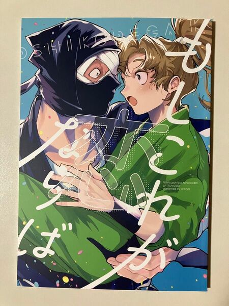同人誌 雑伊 もしこれが恋ならば