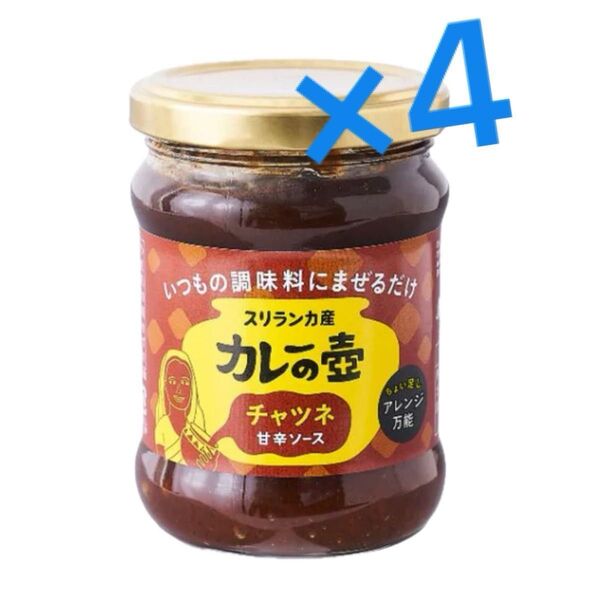 カレーの壺 チャツネ 260g×4個 世界のカレー 本格調味料 甘辛ソース
