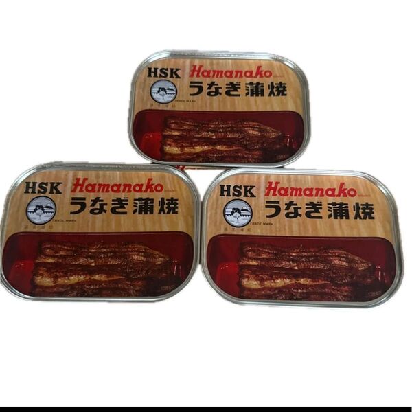 Hamanako 浜名湖 うなぎ蒲焼 缶詰 100グラム×3缶セット 国産うなぎ