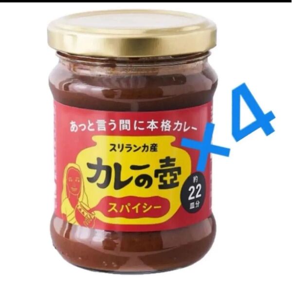 「カレーの壺 スパイシー」220g×4個 カレールー 本格カレー