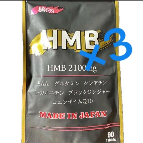 新品 未開封 HMB 極ボディ 90粒×3袋 HMB2100mg EAA コエンザイムQ10 サプリメント