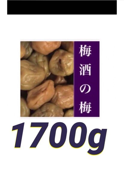 ◇◇梅酒の梅 訳あり 1700g