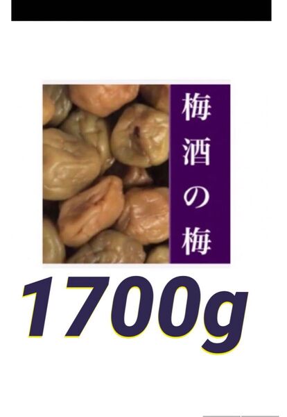 ◇◇梅酒の梅 訳あり 1700g
