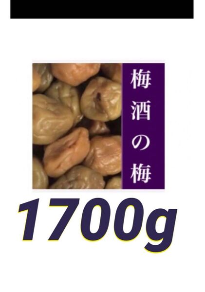 ◇◇梅酒の梅 訳あり 1700g