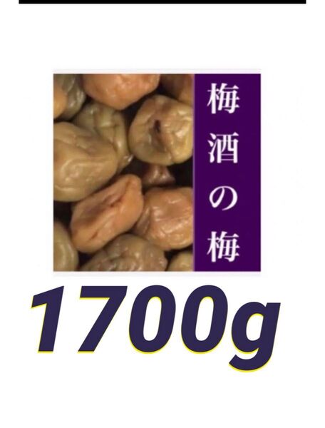 ◇◇梅酒の梅 訳あり 1700g