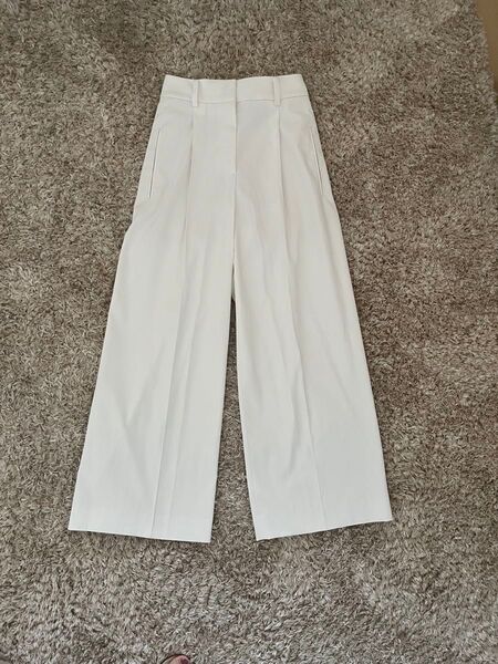 PLST リネンブレンドワイドパンツ XS 2023