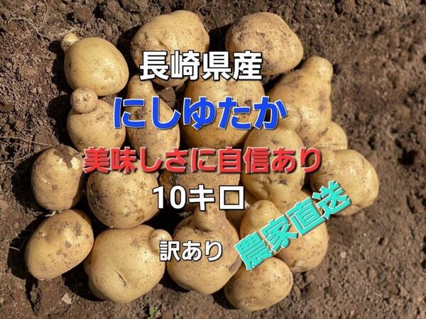 長崎県産 じゃがいもB品 訳あり品 にしゆたか 箱込み10キロ