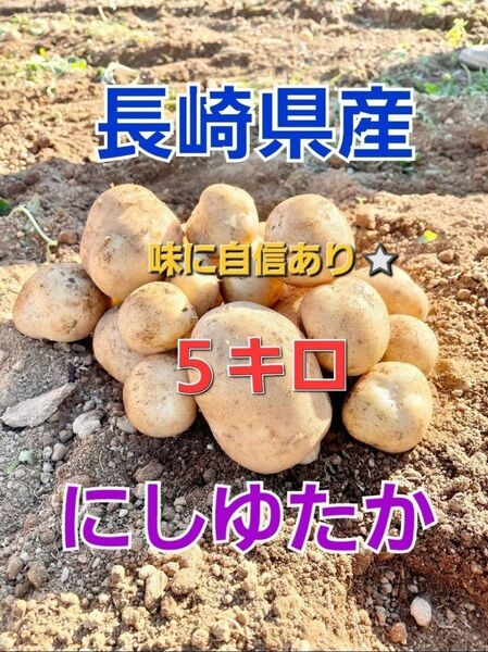 長崎県産 じゃがいもA品 にしゆたか 箱込み5キロ
