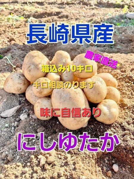 長崎県産 じゃがいもA品 にしゆたか 箱込み10キロ
