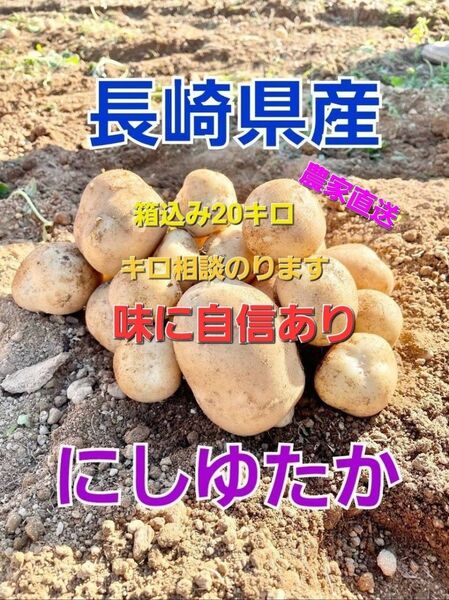 長崎県産 じゃがいもA品 にしゆたか 箱込み20キロ