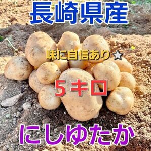 長崎県産 じゃがいもA品 にしゆたか 箱込み5キロ