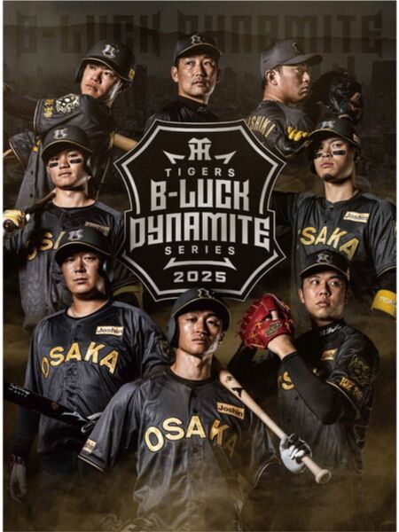 阪神タイガースvs東京ヤクルトスワローズ