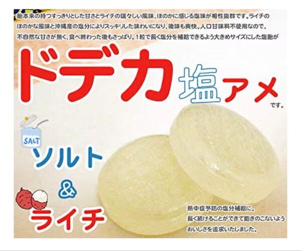 ドデカ塩飴 100個入 ソルト&ライチ お徳用 塩ライチ飴 お菓子 ソルトライチ 業務用 個包装 食べたらやみつき!口スッキリ!