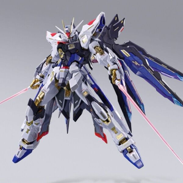 【新品未開封】METAL BUILD FESTIVAL 2024 ストライクフリーダムガンダム & 光の翼オプションセット