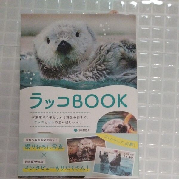 ラッコBOOK 水族館での暮らしから野生の姿まで。ラッコとヒトの思い出たっぷり! 木村悦子/著 美品です。