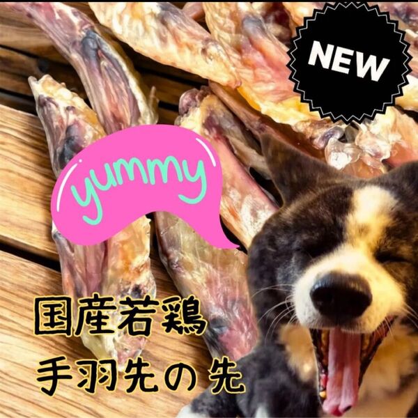 国産若鶏手羽先の先 犬のおやつ 無添加 無着色 100g