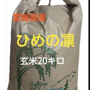 愛媛県産 ひめの凛 玄米20キロ 送料込み