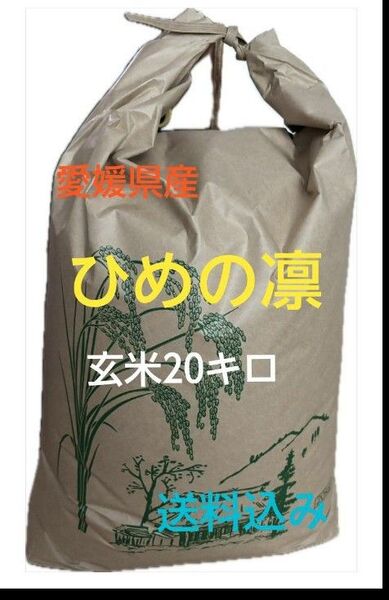 愛媛県産 ひめの凛 玄米20キロ 送料込み
