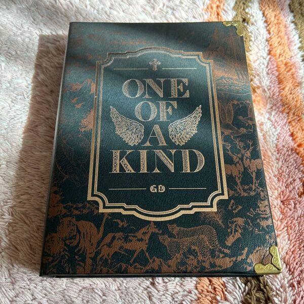 G-DRAGON ONE OF A KIND アルバム BIGBANG おまけ付 クリアファイル