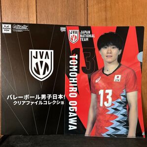バレーボール男子日本代表 クリアファイル