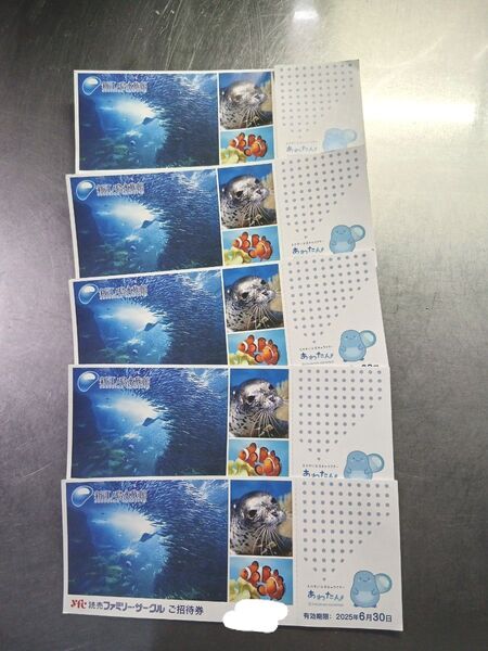 新江ノ島水族館 読売ファミリー・サークルご招待券 5枚