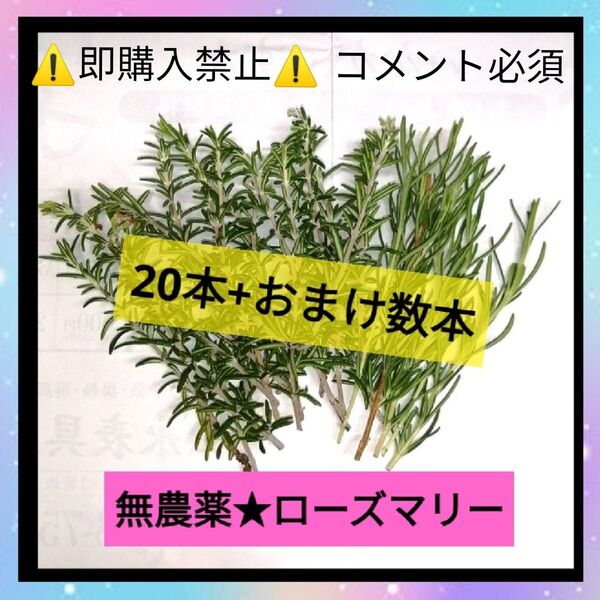 【値下不可】安全 無農薬 ローズマリー 20本 料理 消臭 ハーブ 苗 栽培 健康 美容 ストレス発散 花粉症 育毛 痴呆予防