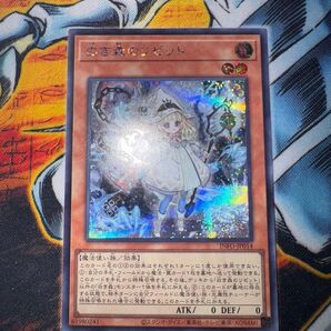 遊戯王 白き森のリゼット シークレット