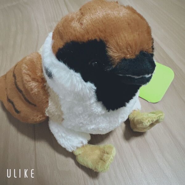 新品 サンレモン すずめ ぬいぐるみ フラッフィーズ S