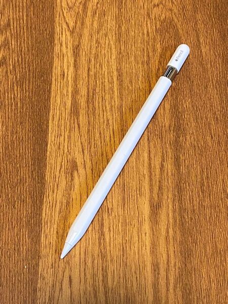 【ジャンク】Apple Pencil アップルペンシル USB-C