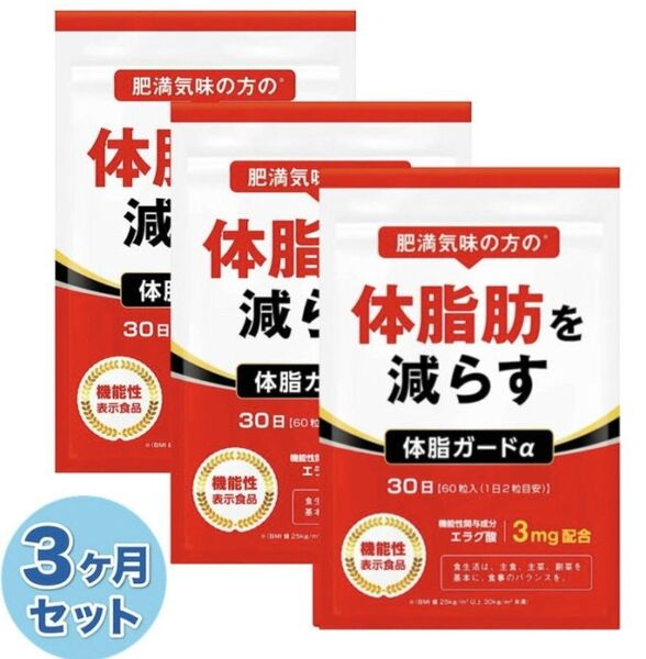 サプリメント 体脂ガードα ダイエット エラグ酸 カルニチン BCAA 内臓脂肪 皮下脂肪 機能性表示食品