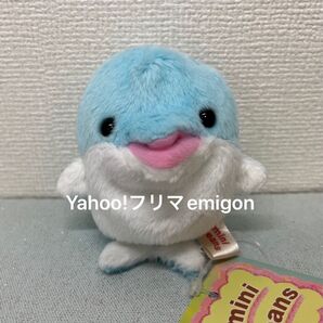 ミニビーンズ イルカ ぬいぐるみ 水族館 いるか
