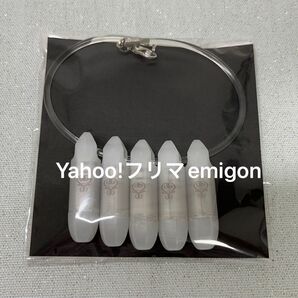 藤井フミヤ ライブグッズ HOTAFURU ホタフル 新品未使用