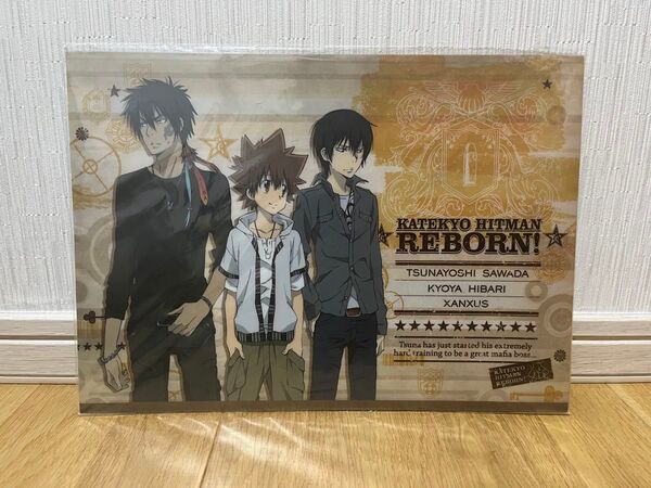 家庭教師ヒットマンREBORN! ファイルフォルダ ザンザス 沢田綱吉 雲雀恭弥