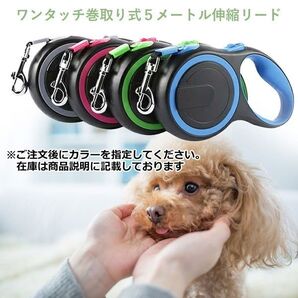 在庫限りセール ワンタッチ 簡単操作 5M伸縮リード お散歩 お出掛 犬用品 自動リード ロングリード テープリード 小型犬