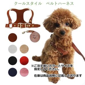 クールスタイルベルトハーネス&リードセット 小型犬 ペット用 犬具 ベルトタイプ 胴輪 大人カラー おしゃれ ドッグウェア