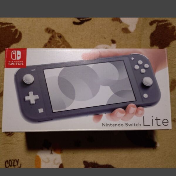 【美品】Nintendo Switch Lite グレー
