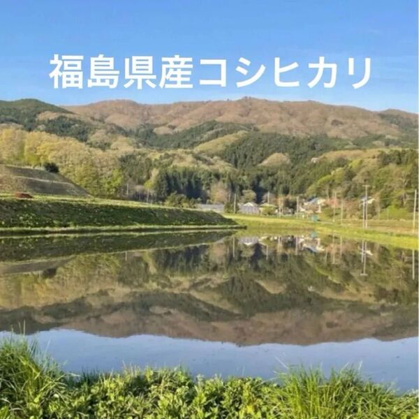 福島県産コシヒカリ令和6年度産