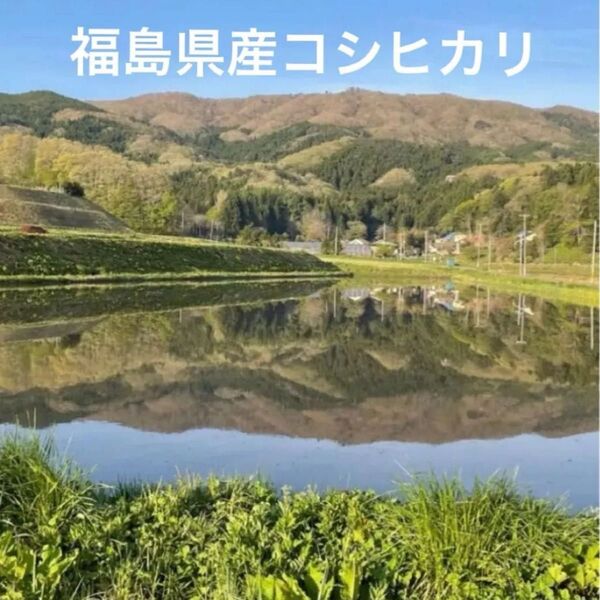 福島県産コシヒカリ令和6年
