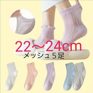 レディースソックス22~24cm 薄手メッシュ5足組 新品未使用品