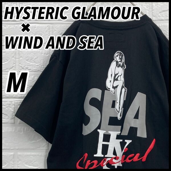 【入手困難!!】ヒステリックグラマー ウィンダンシー ヒスガール Tシャツ M