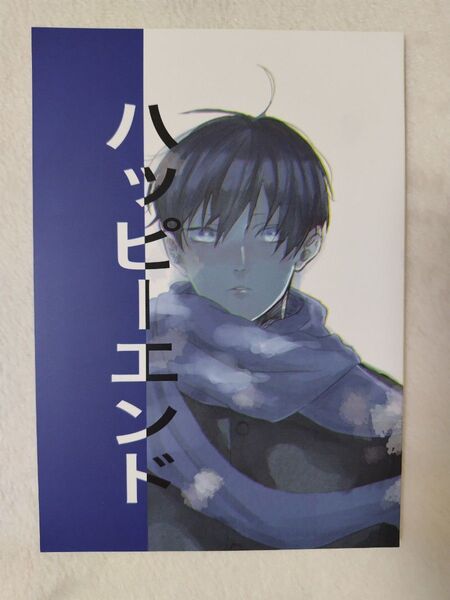 ハイキュー 同人誌 ハッピーエンド 逆再生 及影