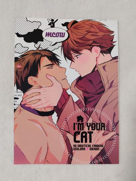 ハイキュー 同人誌 I’M YOUR CAT だんび 牛及