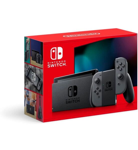 Nintendo Switch グレー 本体 【ガラス面美品】