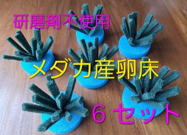 メダカの産卵床 6セット 【研磨剤不使用】ショートタイプ