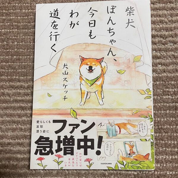 柴犬ぽんちゃん、今日もわが道を行く 犬山スケッチ/著
