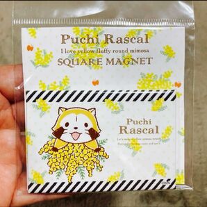 あらいぐま ラスカル マグネット