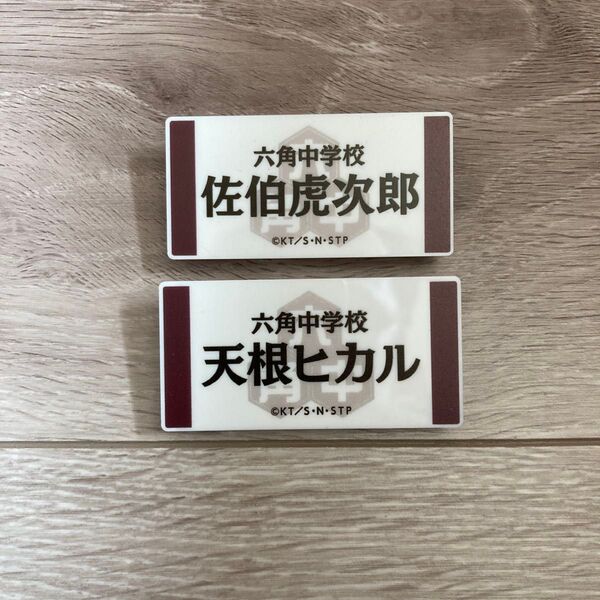 テニスの王子様 テニプリ ネームプレート 佐伯虎次郎 天根ヒカル 2点