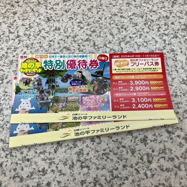 遊園地 池の平ファミリーランド フリーパス券 ホテル 宿泊割引券 お得な2枚セット 特別優待券 パスポート券